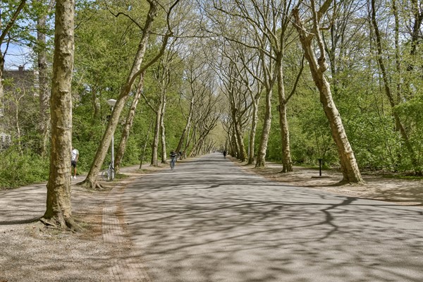 Baarsstraat 7-2 - 26.jpg